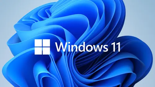 Програмен продукт с лицензен стикер, Microsoft Windows 11 Pro 64Bit Bulgarian 1pk DSP OEI DVD