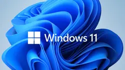 Програмен продукт с лицензен стикер, Microsoft Windows 11 Pro 64Bit Bulgarian 1pk DSP OEI DVD