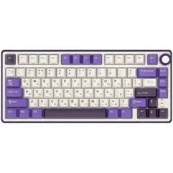 ROYAL KLUDGE R75 Blackberry Mousse Gaming Keyboard K silver switch