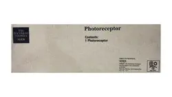 БАРАБАН (OPC DRUM) ЗА XEROX 5017/5317/5316 - Photoreceptor - Black - PN 001R00307