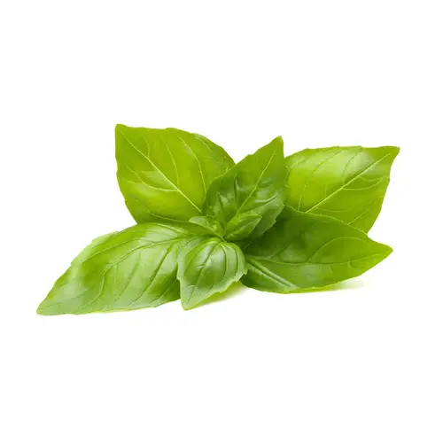 Семена Click and Grow Лимонов босилек, 3 броя
