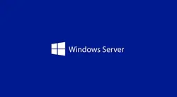 Програмен продукт с лицензен стикер, Windows Server CAL 2025 English 1pk DSP OEI 1 Clt Device CAL