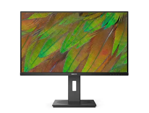 Монитор, Philips 32B1N3800, 31.5" VA WLED, 3840x2160@60Hz, 4ms GtG, 350cd m/2, 3500:1, 50M:1 DCR, Adaptive Sync, FlickerFree, LowBlue Mode, 3Wx2, Tilt, Height Adjust, Pivot, Swivel, 2xHDMI, DP, USB hub