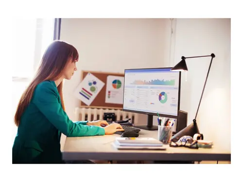 Монитор, Philips 24E2N1110, 23.8" IPS WLED, 1920x1080@120Hz, 4ms GtG, 1ms MPRT, 300cd m/2, 1500:1, Mega Infinity DCR, Adaptive Sync, FlickerFree, LowBlue Mode, Tilt, D-SUB, HDMI
