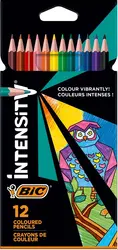МОЛИВИ 12 ЦВЯТА INTENSITY BIC